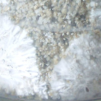 100_3450b.jpg