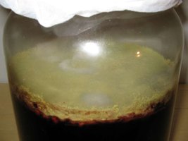 vingaca (1).jpg