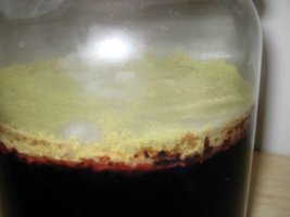 vingaca (3).jpg