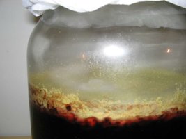 vingaca (4).jpg