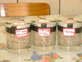 DSC01721.JPG