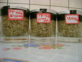 DSC01722.JPG