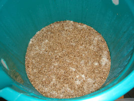 Bulk Mex2.JPG