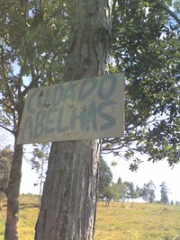 21-08-07_1002.jpg