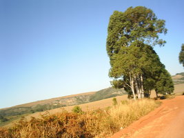 fotos ciele 078.jpg