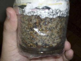 Frst.Contaminado.jpg