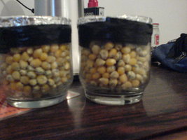 contaminados.JPG
