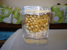 Mambo_031.jpg