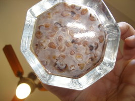 Mambo_033.jpg