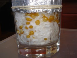 Mambo_036.jpg