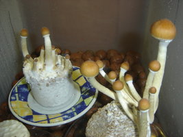 19-09-07 h.JPG