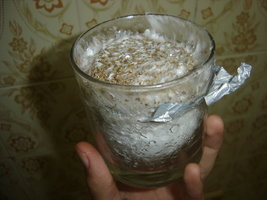 niver copo 19-09 3.JPG