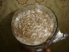 niver copo 19-09 4.JPG