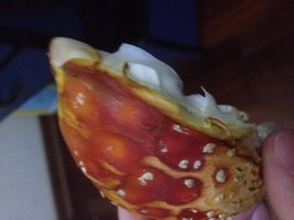 IMG_8233.JPG
