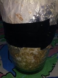 CAM00234.jpg