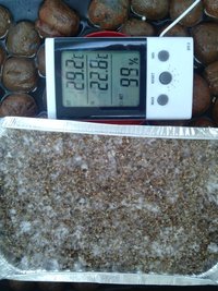 CAM00253.jpg