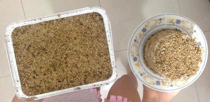 coguandressa4.jpg