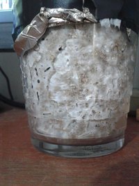 20150617_162624.jpg