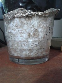 20150617_162651.jpg
