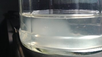 20150619_165154.jpg