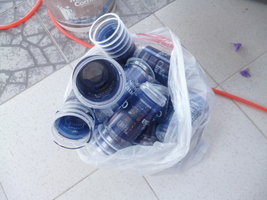 cultivo 1.JPG