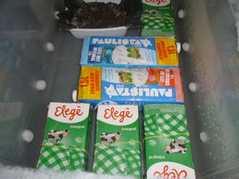cultivo 3.JPG