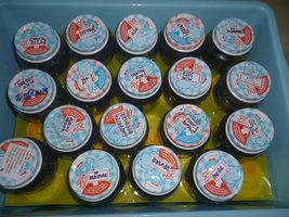 cultivo 6.JPG