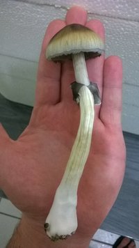 WP_20150518_014.jpg