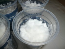cultivo 57.JPG