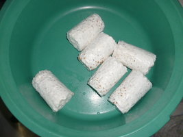 cultivo 60.JPG