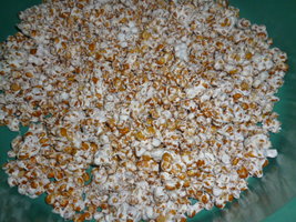 cultivo 62.JPG