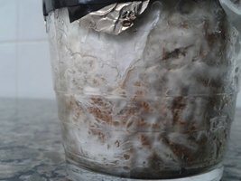 20150625_133910.jpg