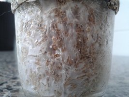 20150625_133930.jpg