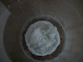 100_1818.jpg