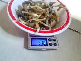 CAM00318.jpg