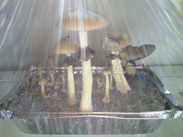 CAM00288.jpg