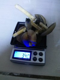 CAM00292.jpg