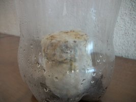 100_1823.jpg