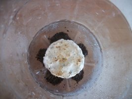 100_1822.jpg