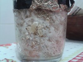 20150630_001936.jpg