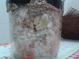20150630_001927.jpg