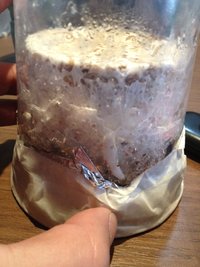 foto 4.JPG