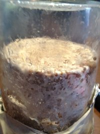 foto 6.JPG