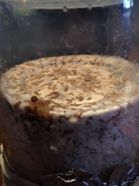 foto 7.JPG