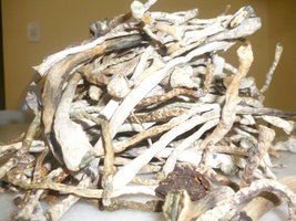 cogumelos secos 1.JPG