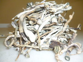 cogumelos secos 12.JPG