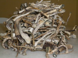 cogumelos secos 13.JPG