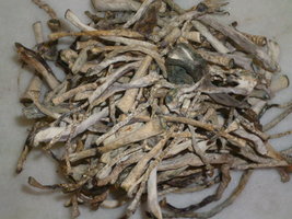 cogumelos secos 27.JPG