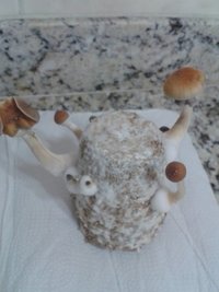 20150706_094517.jpg