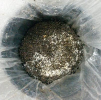 pppf_703.jpg